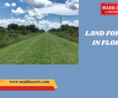 Affordable Land for Sale in Florida