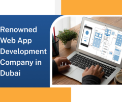 Leading Web App Development Company Dubai - ToXSL Technologies