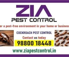 Zia pest control service |  Pest service provided at rs. 799/-| 1973