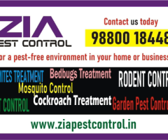 Zia Pest control service | Cockroach treatment service in Bangalore | 1981