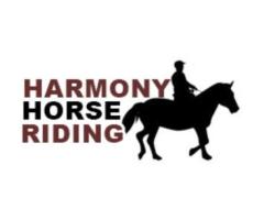 Harmony Horse Riding Of South Beach