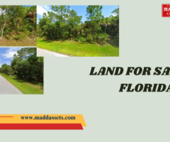 Affordable Land for Sale in Florida - Invest Today