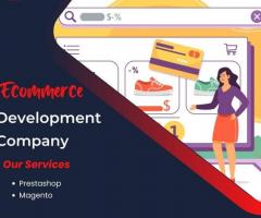 E-commerce web development company in California - Webinatic Solutions - 1