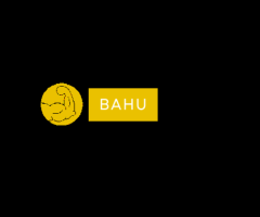 Digital Marketing Company In USA - BahuDigital