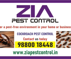 Cockroach Treatment | Zia pest control | safe and efficient methods | 2014