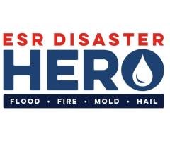 ESR Disaster Hero - 1