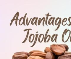 Jojoba Oil Is Your New Best Buddy If You Have Oily Skin.