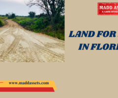 Affordable Land for Sale in Florida