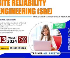 Site Reliability Engineering Online Free Demo