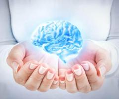 Nutrition for Optimal Brain Function by Biovatic Lifescience