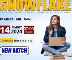 Snowflake Online Training New Batch