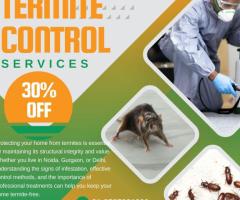 Effective termite control in Noida - 1