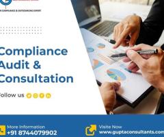 Audit And Consulting Services Delhi