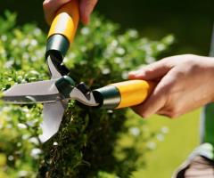 Calgary Hedge Trimming and Care Services - Evergreen Ltd - 1