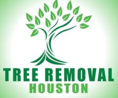 Tree Removal Houston 247 - 1