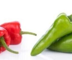 Chile Pimiento: Sabor y Nutrición en tu Cocina - 1