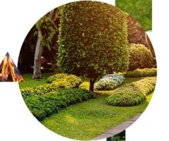 Best Landscape Services Syracuse NY