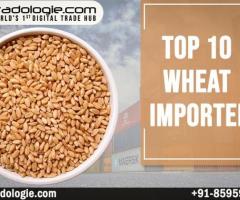 Top 10 Wheat Importers - 1