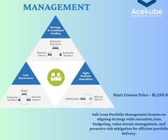 Safe and Streamlined Effective Lean Portfolio Management Techniques