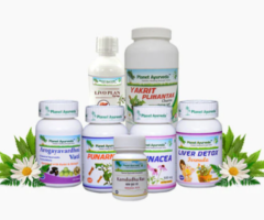 Ayurvedic Treatment For Hepatitis B - H-Liver Pack By Planet Ayurveda