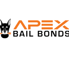 Apex Bail Bonds of Wentworth, NC - 1