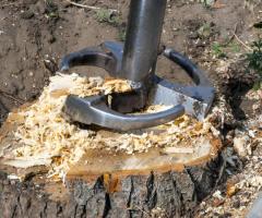 Tree Stump Removal Calgary - Evergreen Ltd