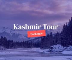 delhi to kashmir package