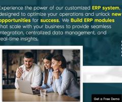 Unlock Success with Customized ERP Solutions