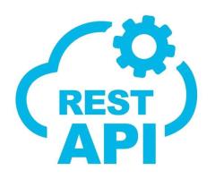 Rest API Online Training from India - 1