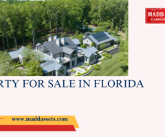 Affordable Properties for Sale in Florida - 1