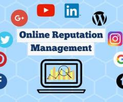 Online Brand Reputation Management Services Company