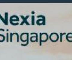 Winding Up of a Company in Singapore | Nexia Singapore - 1