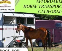 Affordable Horse Transportation Costs in California | Rocking Y Ranch