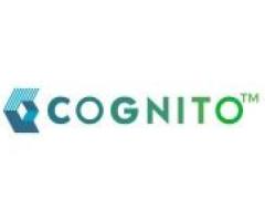 Choosing the Right Industrial Sewage Pump: Why Cognito Pumps Stand Out