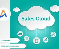 Increased Sales Performance with Sales Cloud Implementation - 1