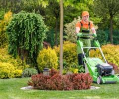 Upgrade Your Lawn with Concrete Curb Edging Services | A+ Lawn Care