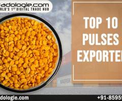 Top 10 Pulses Exporter - 1