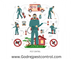 Top Best Pest Control Services in Gurgaon | Godrejpestcontrol