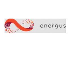 Leading commercial solar expert -Energus