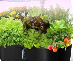 Hydroponics plant growing system