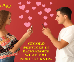 Understanding Gigolo Services in Bangalore: A Guide to Professional Male Companionship - 1