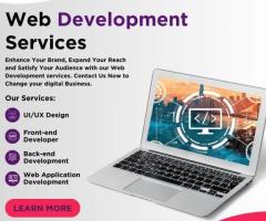 Web Development by Lattice Purple Web Developer  Web Developer in India