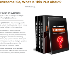 (PLR) The Power Of Questions - 1