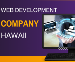 Web Development Company  Hawaii