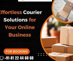 Domestic Express Courier Services in Chennai - 1