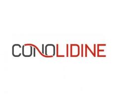 Stay Informed: Conolidine Breaking News and In-depth Blogs