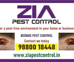 Effective Bedbug Service Treatment  | Rat Control | Zia Pest Control  | 1978