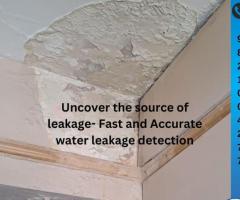 Leakage Detection Services - 1