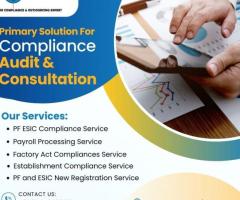 Expert Compliance Audit Consultants for Your Business