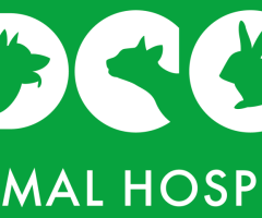 DCC Animal Hospital - Best Veterinary Hospital In Greater Kailash